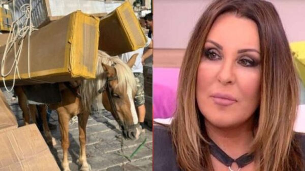 «Βάλτε τελος»: Ξέσπασε η Ναταλία Γερμαού για τις εικόνες ντροπής στην Ύδρα – Ανάρτηση «κόλαφος» από την παρουσιάστρια