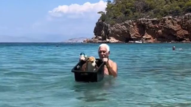 Το βίντεο που «λυγίζει» όλο το διαδίκτυο – Η στιγμή που παππούς πηγαίνει βαρκάδα τον σκυλάκο του!