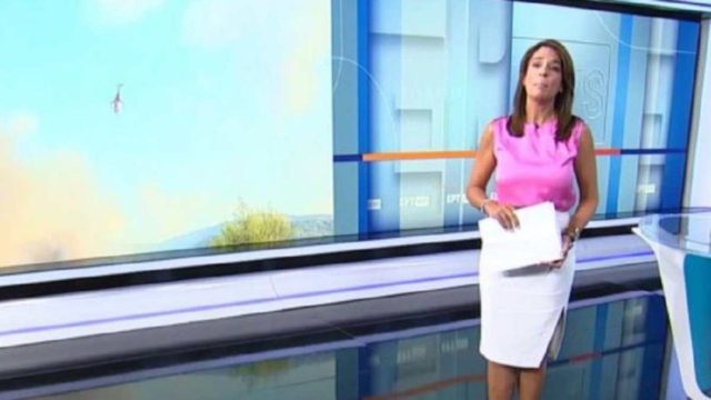 Ντροπιαστική τοποθέτηση παρουσιάστριας στην ΕΡΤ: «Ευτύχημα ότι δεν πέθαναν Έλληνες αλλά 18 ταλαίπωροι μετανάστες»