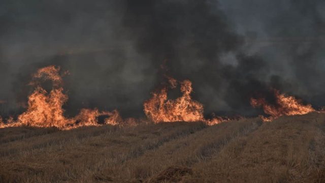 Πυρκαγιές: Πολύ υψηλός κίνδυνος για την Κυριακή 06 Αυγούστου – Οι 6 περιφέρειες που βρίσκονται στο «κόκκινο»