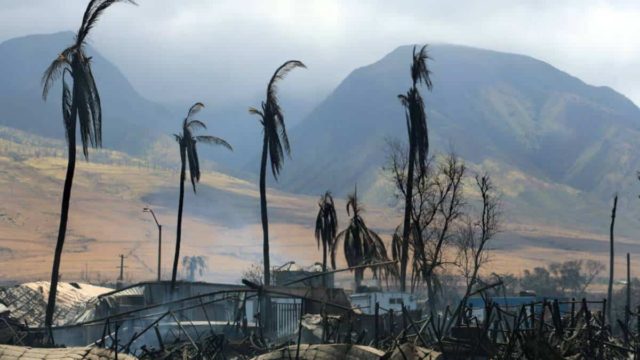 Ιστορική τραγωδία στη Χαβάη: Τουλάχιστον 89 οι νεκροί από τις πυρκαγιές – Πέφτουν στη θάλασσα να σωθούν (videos)