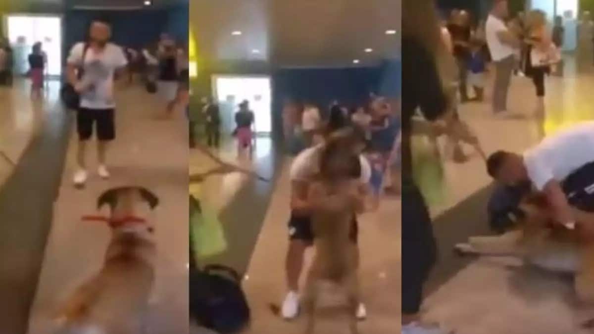 Σκύλος είχε να δει το “αφεντικό” του 3 ολόκληρα χρόνια – Δείτε την στιγμή που τον ξανασυναντά (Video)
