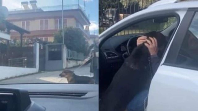 Απίστευτο βίντεο: Θεσσαλονικιός βρήκε τον σκύλο του, που είχε χαθεί το 2017 και το ζώο «τρελάθηκε» όταν τον είδε!