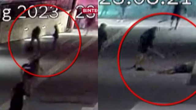 Δολοφονία Μιχάλη Κατσουρή: Ανατριχιάζει το νέο βίντεο ντοκουμέντο από τον άγριο ξυλοδαρμό του – Τον χτυπούσαν με ρόπαλα, κατέρρευσε αιμόφυρτος στο πεζοδρόμιο (video)
