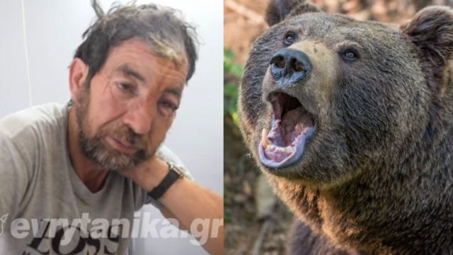 «Πήδηξε πάνω στο κεφάλι μου»: Συγκλονίζουν οι περιγραφές του βοσκού που δέχθηκε επίθεση από αρκούδα (video)