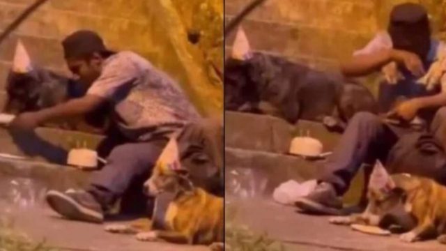 Συγκινήθηκε όλο το διαδίκτυο: Άστεγος κάνει πάρτι γενεθλίων στον σκύλο του με καπελάκια, τούρτα και κεράκια