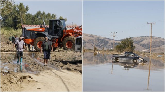 Δήμος στη Μεσσηνία καλεί τους πλημμυροπαθείς της Θεσσαλίας να δουλέψουν ως εργάτες γης – «Θύελλα» αντιδράσεων με την κίνηση αυτή (video)