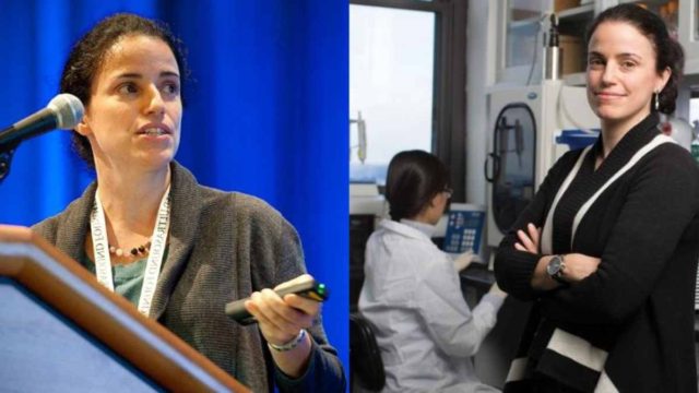 Ελίζα Κονοφάγου: Η πρώτη επέμβαση με υπερήχους σε ασθενή με Αλτσχάιμερ από Ελληνίδα επιστήμονα