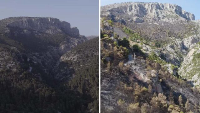 Φωτιά στη Φυλή: Βίντεο με το πριν και μετά της απόλυτης καταστροφής – «Σπαράζει η καρδιά σου»