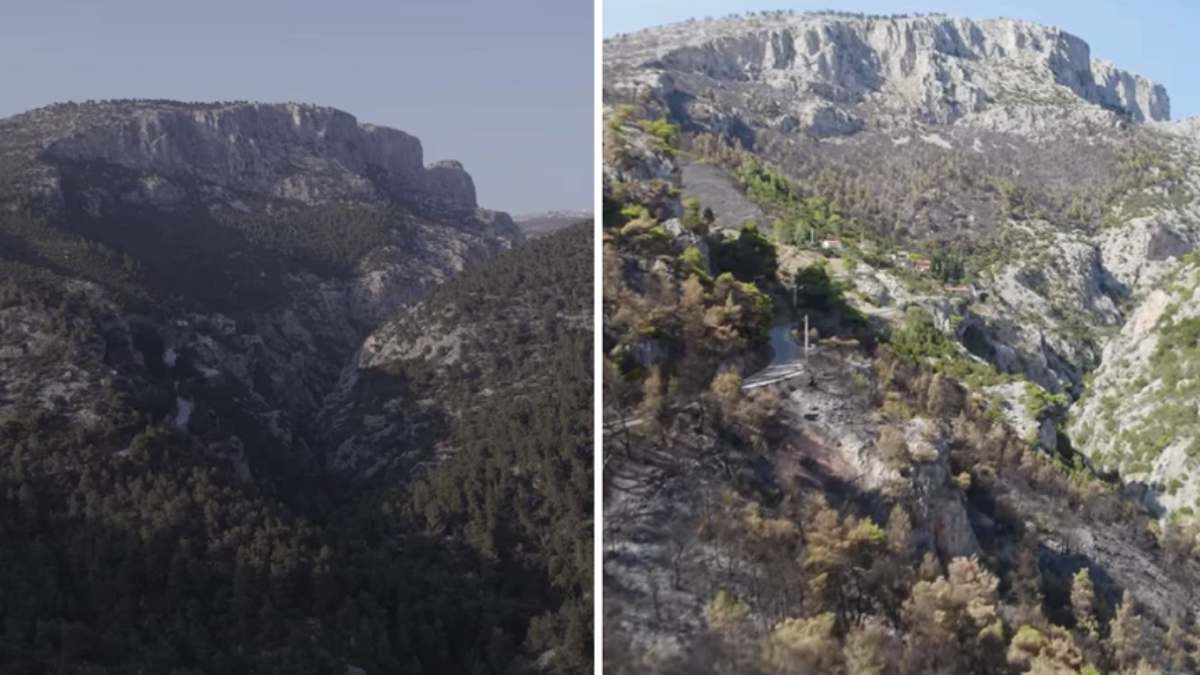 Φωτιά στη Φυλή: Βίντεο με το πριν και μετά της απόλυτης καταστροφής – «Σπαράζει η καρδιά σου»