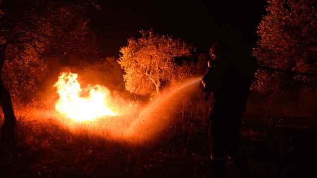 Δύσκολη η νύχτα με τις φωτιές στον Έβρο: Συνεχής η μάχη των πυροσβεστών – Τεράστια επιχείρηση κατάσβεσης