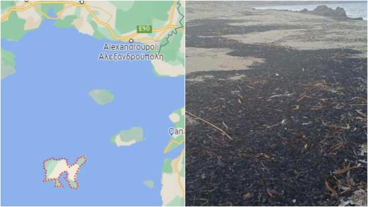 «Κλαίει» η φύση: Αποκαΐδια από την φωτιά στον Έβρο ξεβράστηκαν σε παραλία της Λήμνου (photos)