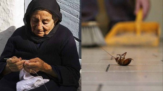 Γιατί οι γιαγιάδες ξέρουν: Το έξυπνο κόλπο για να εξαφανίσετε τις κατσαρίδες από το σπίτι σας χωρίς εντομοκτόνα