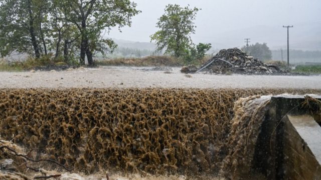 Κρούει το καμπανάκι κινδύνου η Ματίνα Παγώνη: «Υγειονομική βόμβα τα πνιγμένα ζώα και απόβλητα στον κάμπο» (video)