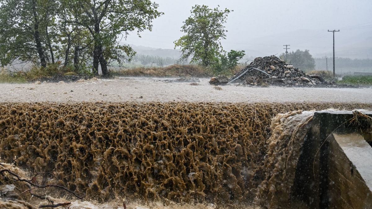 Κρούει το καμπανάκι κινδύνου η Ματίνα Παγώνη: «Υγειονομική βόμβα τα πνιγμένα ζώα και απόβλητα στον κάμπο» (video)