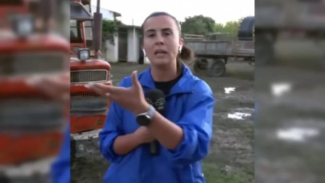 Κατερίνα Ρίστα: Ποια είναι η δημοσιογράφος του Star που έγινε viral για το ξέσπασμά της για τα νεκρά ζώα στην Καρδίτσα (Video)