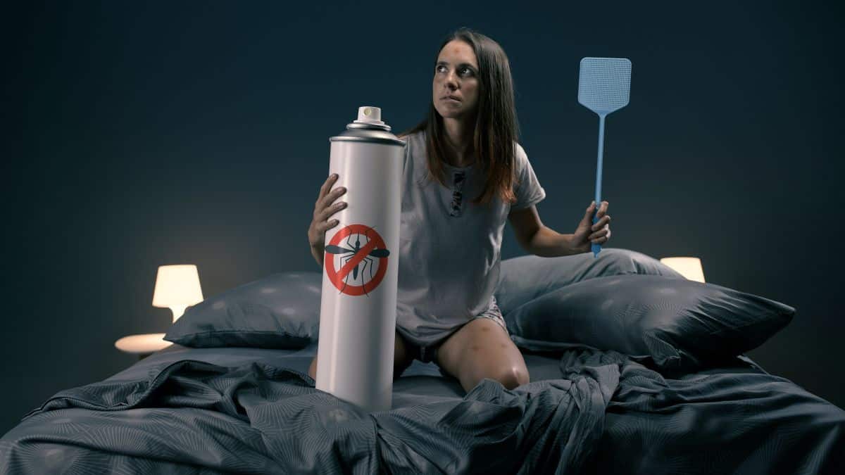 «Bye-bye» στα κουνούπια! 10+1 αρώματα που θα τα απομακρύνουν από τον χώρο σας με φυσικό τρόπο