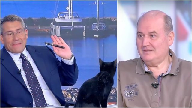 Μαύρη γάτα «πετάχτηκε» στο πλατό του ΣΚΑΪ την ώρα που μιλούσε ο Νίκος Φίλης – «Δεν είναι καλό μήνυμα αυτό για τον ΣΥΡΙΖΑ» (video)