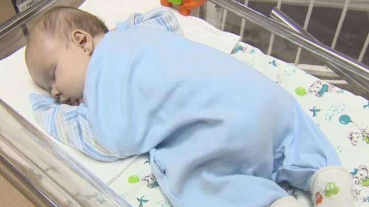 Τέρας άφησε μωρό σε χαρτόκουτο κάτω από την παγωμένη σκάλα… και η γάτα έγλυφε απαλά το πρόσωπό του για να το ηρεμήσει