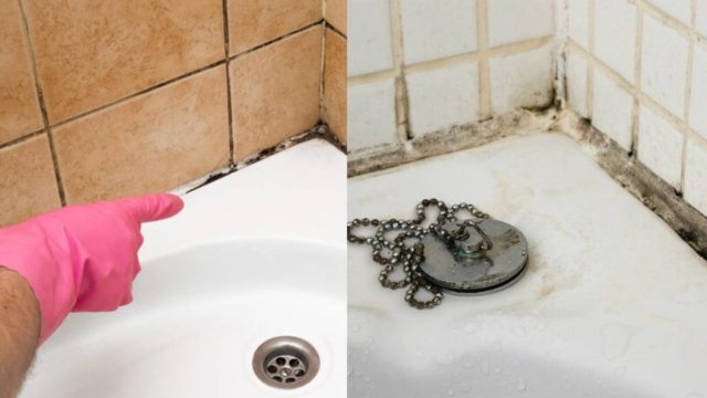 Μούχλα στο μπάνιο: Πόσο επικίνδυνη είναι για την υγεία μας; – 3 κολπάκια για να απαλλαγείτε οριστικά