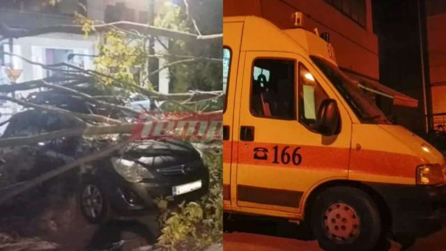Παρ’ολίγον τραγωδία στην Πάτρα: Δέντρο έπεσε σε γυναίκα και την τραυμάτισε στο κεφάλι (video)