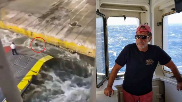 Όλο το διαδίκτυο χειροκροτά τον έμπειρο πλοίαρχο, Σιδέρη Μαμίδη: Είπε αυτό που έπρεπε να πει κάποιος – «Δεν πετάς άνθρωπο στη θάλασσα ακόμη και αν…»