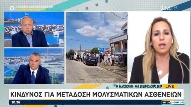 «Άμεση καύση των νεκρών ζώων που αποτελούν εστία μόλυνση»: Υγειονομική βόμβα τα λιμνάζοντα ύδατα