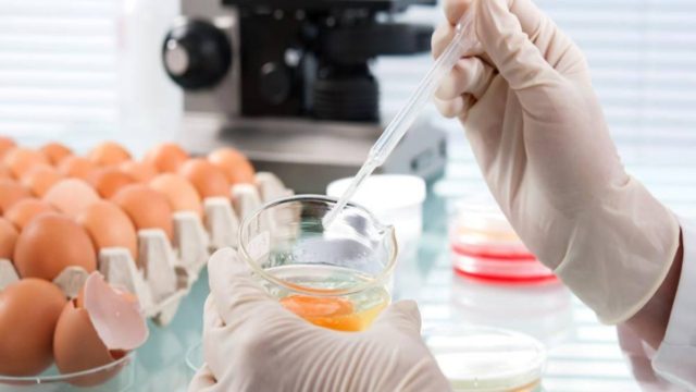«Καμπανάκι» ΕΟΔΥ: Έξαρση λοιμόξεων από σαλμονέλα – Πάνω από 480 κρούσματα στην Ελλάδα