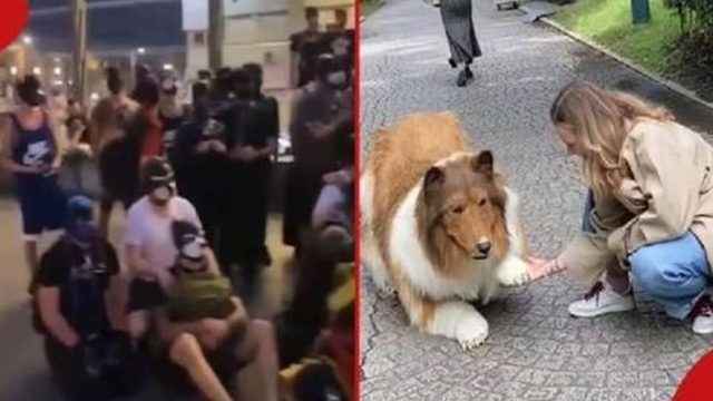 Κιμ πάτησέ το: Διαδήλωσαν… γαβγίζοντας για το δικαίωμά τους να αυτοπροσδιορίζονται ως σκύλοι (video)