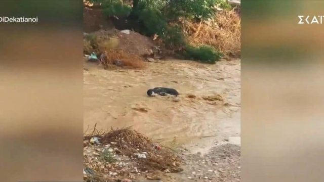 Κακοκαιρία Daniel: Σοκαριστικό βίντεο στο Μενίδι – Άνθρωπος παρασύρθηκε στο ρέμα Εσχατιάς και ζει τον απόλυτο «γολγοθά» για 3 ώρες