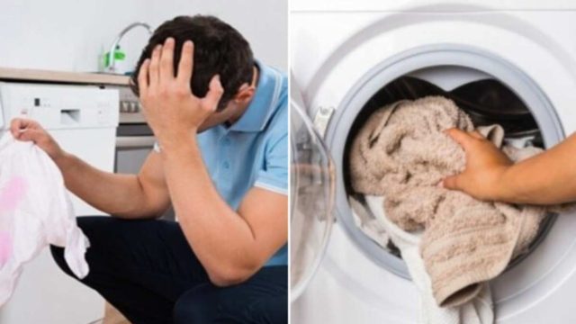 Τρίχες σε υφάσματα και ρούχα από κατοικίδια: Το κόλπο με το πλυντήριο για να τις εξαφανίσετε μια και καλή