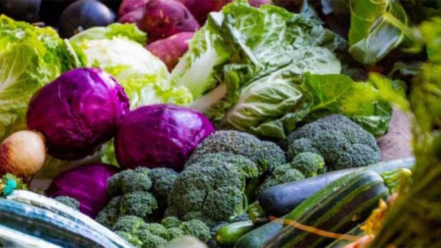 Μακροζωία: Θέλετε να φτάσετε τα 100 – Οι «δοκιμασμένες» τροφές που θα σας βοηθήσουν