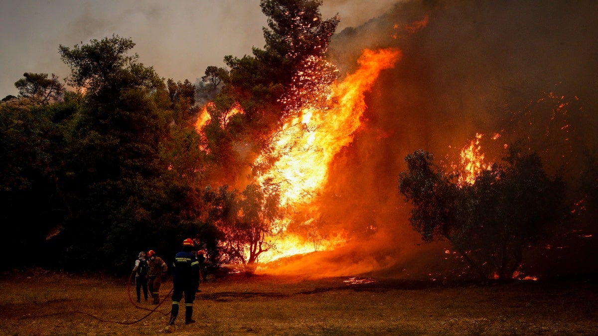 Υψηλός κίνδυνος πυρκαγιάς για Αλεξανδρούπολη, Σαμοθράκη και Σουφλί – Απαγόρευση κυκλοφορίας πεζών και οζημάτων (χάρτης)