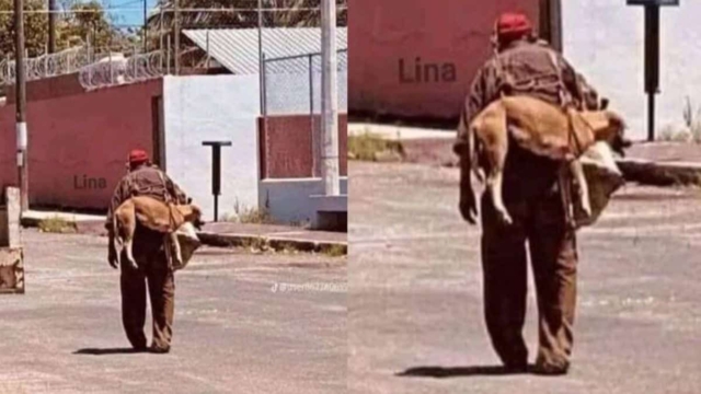 Χωρίς λόγια: Άντρας κουβαλάει αδέσποτο σκύλο στην πλάτη του γιατί η άσφαλτος καίει