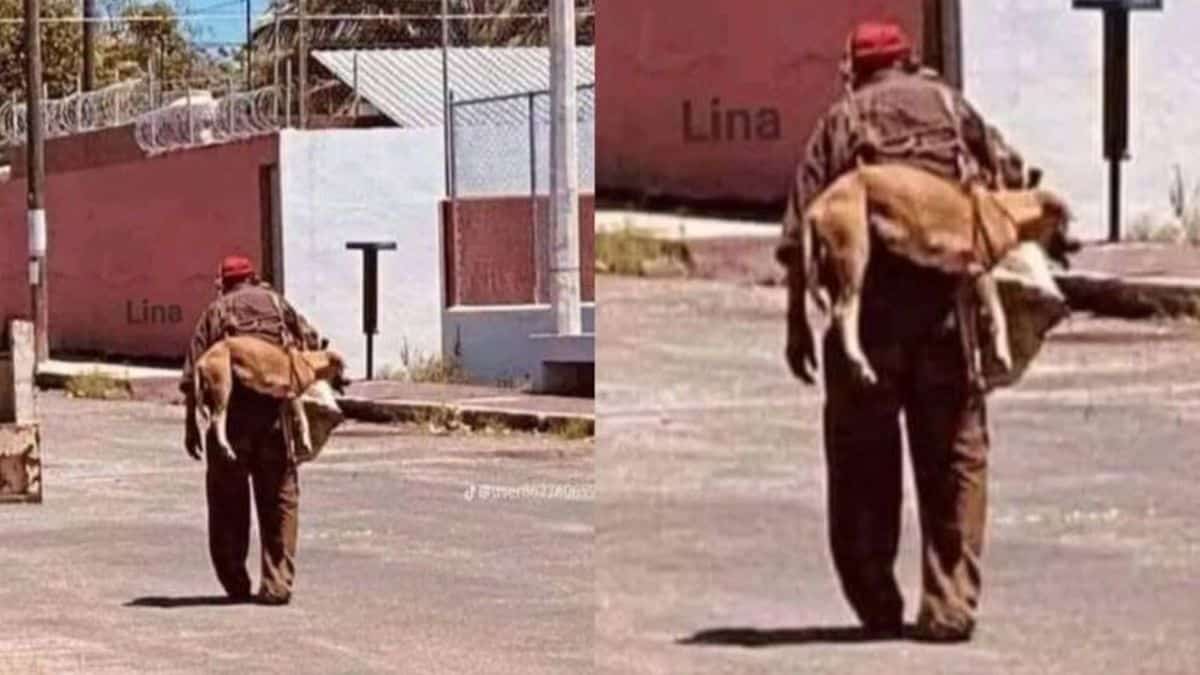 Χωρίς λόγια: Άντρας κουβαλάει αδέσποτο σκύλο στην πλάτη του γιατί η άσφαλτος καίει