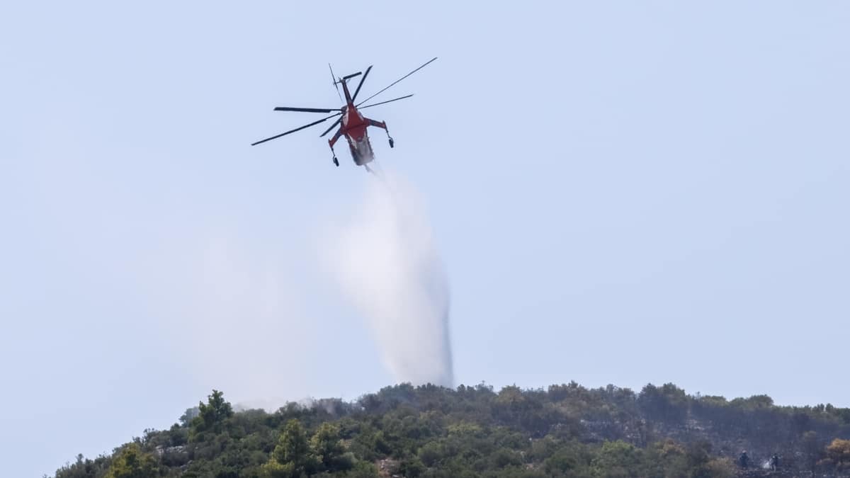 Φωτιά σε δασική έκταση στη Δράμα – Συμβάλλουν και εναέρια μέσα