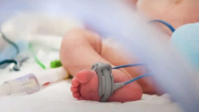 Τρίκαλα: Εσπευσμένα στο νοσοκομείο βρέφος που έβαλε τοξικό φυτό στο στόμα του