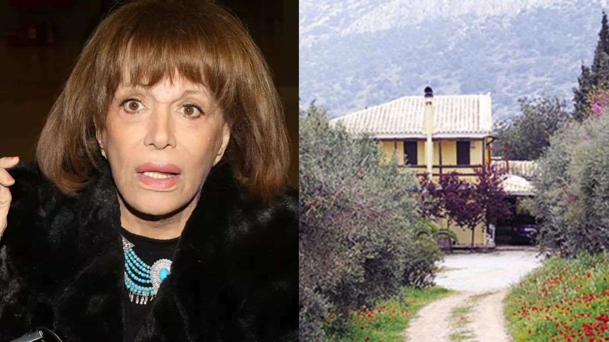 Μαίρη Χρονοπούλου: «Ο συναγερμός είχε αφαιρεθεί βίαια και είχε τοποθετηθεί σε ένα κουβά με νερό» – Έγκληση από το «Χαμόγελο του παιδιού» για φθορά ξένης περιουσίας (video)