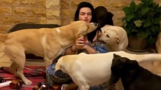 Viral η Δήμητρα Κατσαφάδου: Το βίντεο με τους 22 τετράποδους φίλους της – Τους έχει μέσα στο σπίτι και κοιμάται μαζί τους