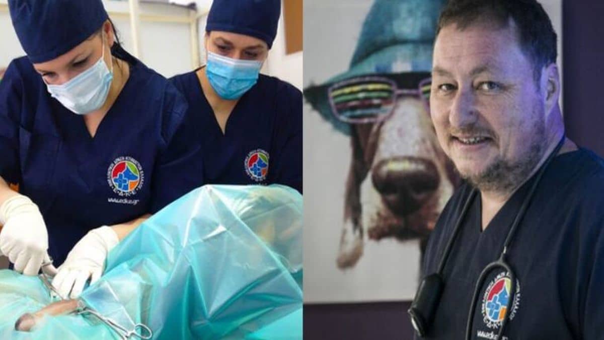 Υπάρχει ανθρωπιά τελικά: Ο Έλληνας γιατρός και η ομάδα του που χαρίζουν καθημερινά τη ζωή τους στα αδέσποτα