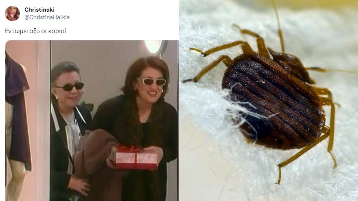 «Επιτέλους γίναμε Ευρώπη, τουλάχιστον είναι παριζιάνικοι» – «Πάρτι» στο Twitter με την άφιξη των κοριών στην Ελλάδα