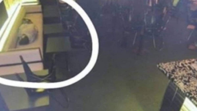 Το αφεντικό τον έπιασε να κοιμάται στη δουλειά – Η αντίδρασή όταν τον είδε από την κρυφή κάμερα προκαλεί σοκ!