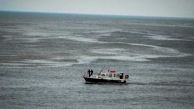 Πτώση ελικοπτέρου στην Εύβοια: Ο πιλότος δεν φορούσε ζώνη και χτύπησε στο κεφάλι – Προσπαθούσε να απεγκλωβιστεί