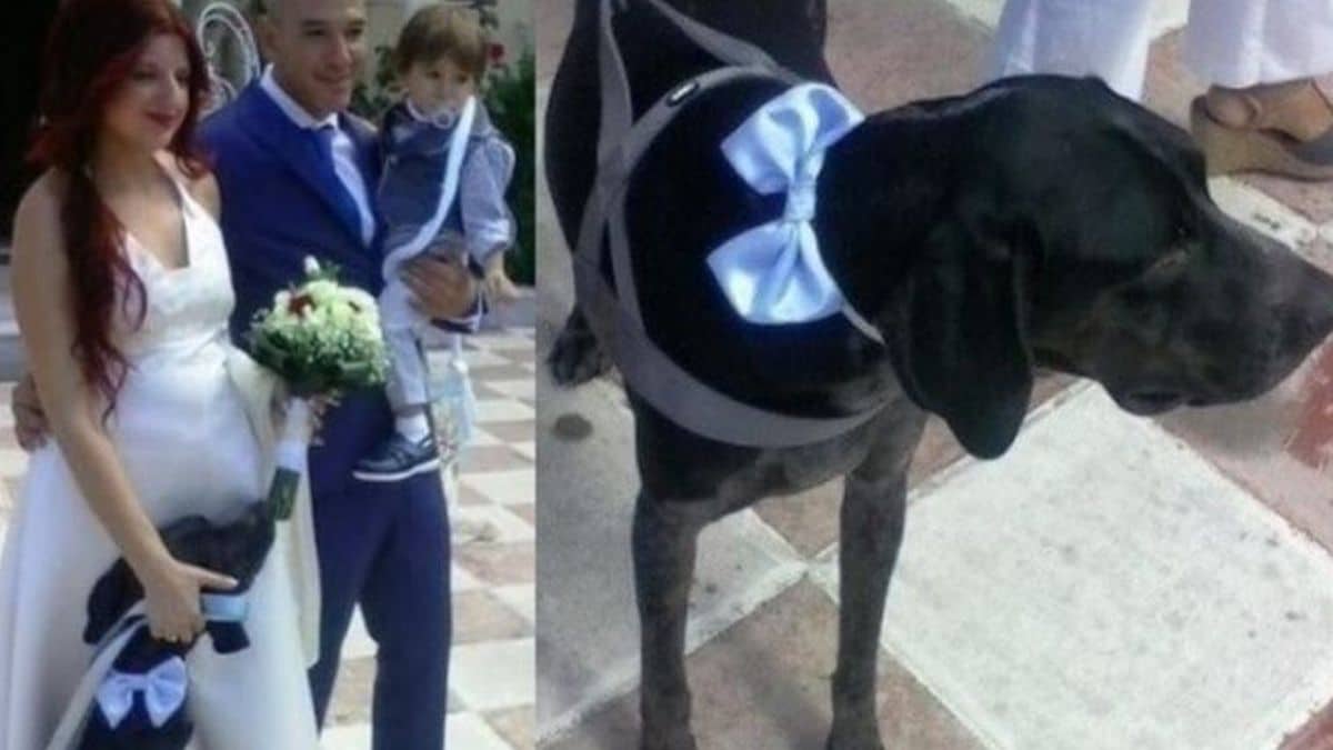 Παντρεύτηκαν και βάφτισαν τον γιο τους έχοντας δίπλα τους τον σκύλο τους