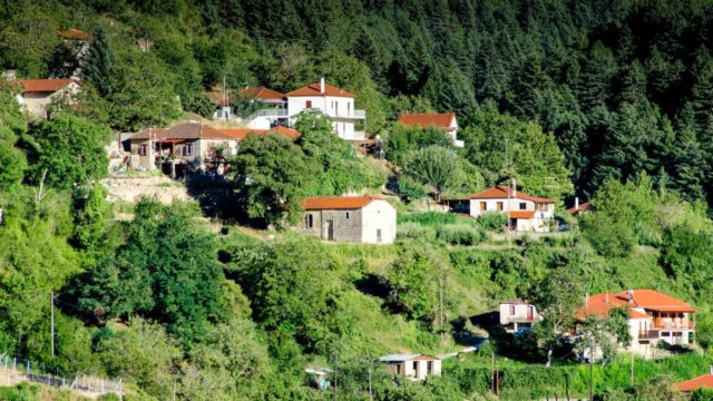 Ζαρούχλα: Το ορεινό χωριό της Αχαΐας που είναι πνιγμένο στα έλατα