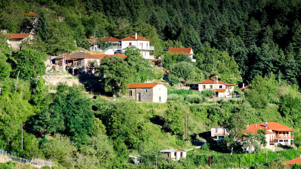 Ζαρούχλα: Το ορεινό χωριό της Αχαΐας που είναι πνιγμένο στα έλατα
