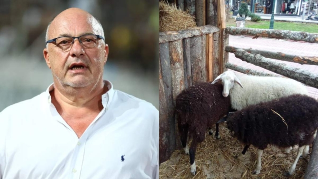 Άγριο ξέσπασμα Αχιλλέα Μπέου προς κτηνίατρους και φιλοζωικές για τις ζωντανές φάτνες: «Κοπρίτες, κανείς δεν μπορεί να μου κάνει τίποτα»