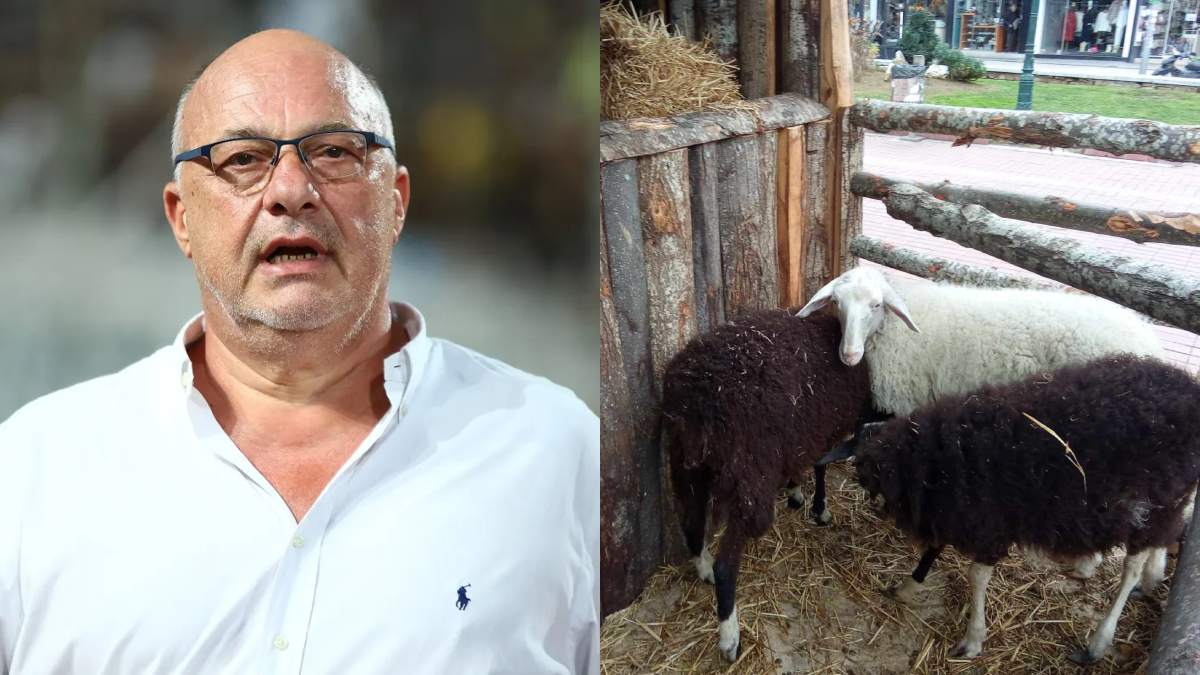 Άγριο ξέσπασμα Αχιλλέα Μπέου προς κτηνίατρους και φιλοζωικές για τις ζωντανές φάτνες: «Κοπρίτες, κανείς δεν μπορεί να μου κάνει τίποτα»