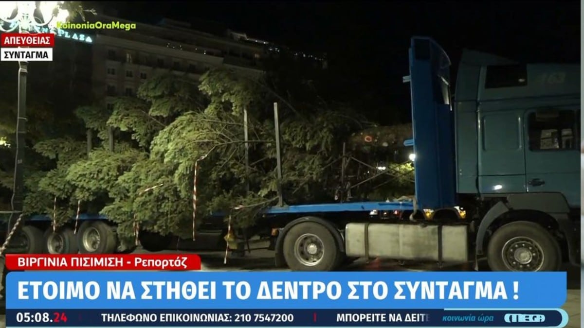 Στην πλατεία Συντάγματος στήθηκε το χριστουγεννιάτικο δέντρο – Έφτασε από το Καρπενήσι