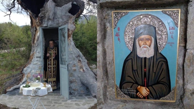 Η ιερή βελανιδιά που χωρά μόλις 2 άτομα: Το εκκλησάκι του Αγίου Παϊσίου που είναι θεμελιωμένο μέσα σε δέντρο!